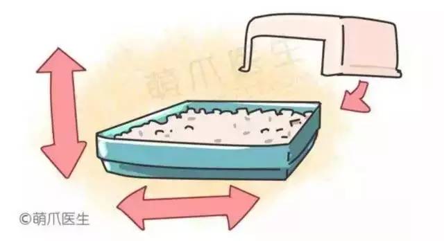 搬新家、换新厕，却被差评？“本喵憋屎抗议！”