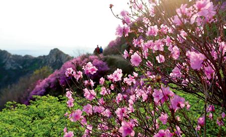 金普新区新时代新征程,金普新区三年行动方案