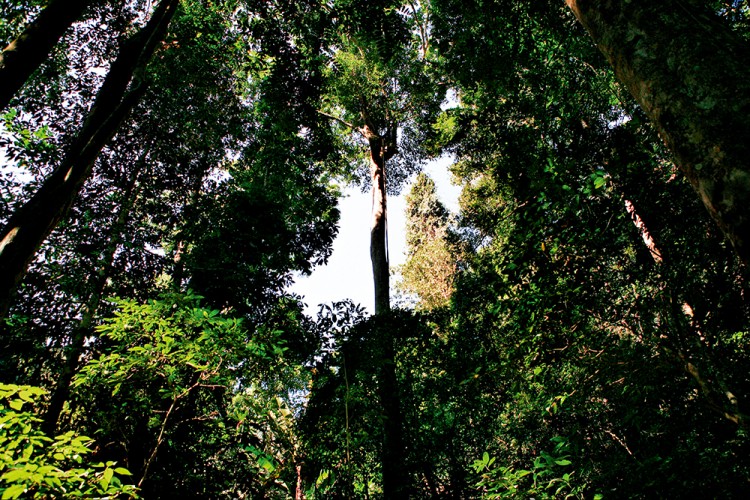 西双版纳3小时可以去哪,西双版纳五小时