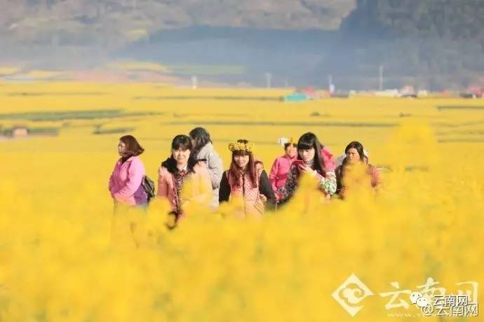 小侃最新视频,小侃