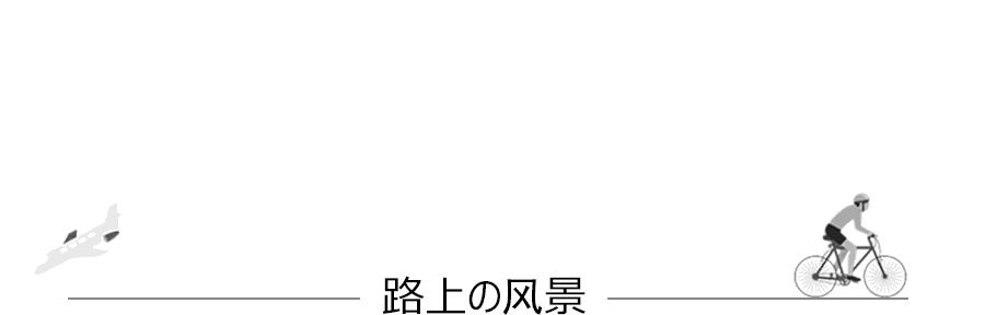 台湾大陆旅游凤梨酥,乌龙茶凤梨酥