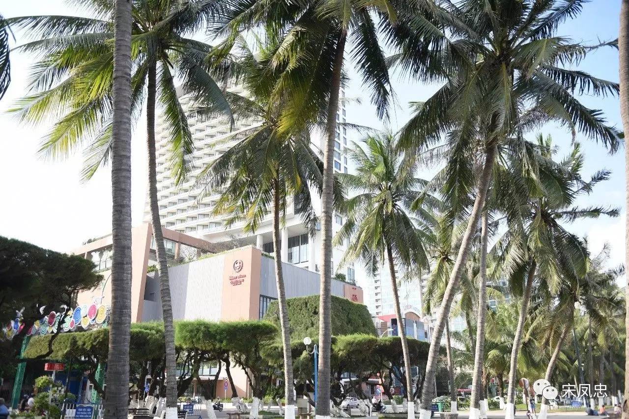 我的越南之旅旅行日记,旅行日记越南