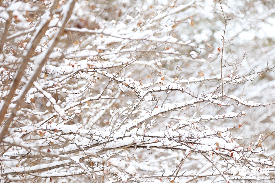 姝﹀北鏄ラ洩,鏄ラ洩涓婇棬鎻愪翰