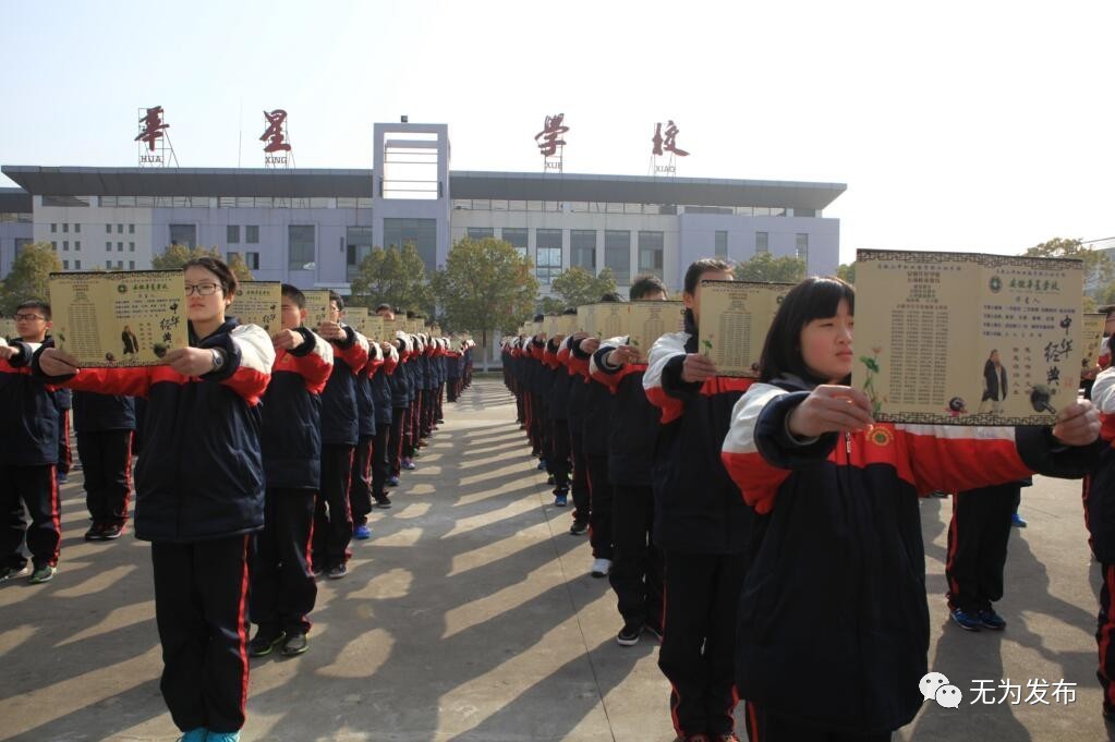 成绩｜无为县素质教育硕果盈枝！