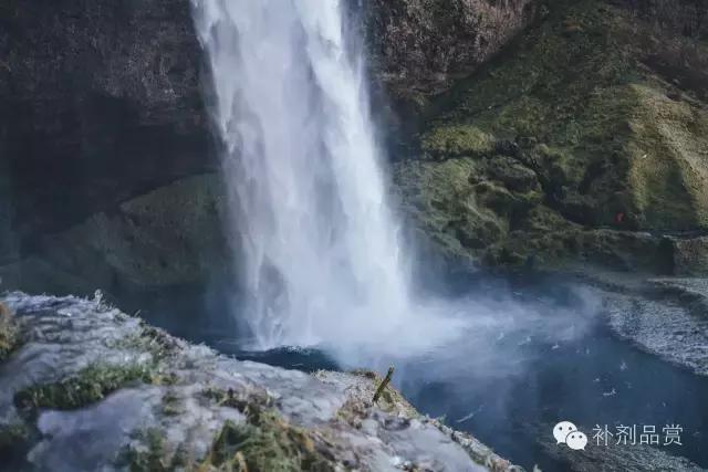 补剂中的防腐剂多吗,补剂的成分有哪些