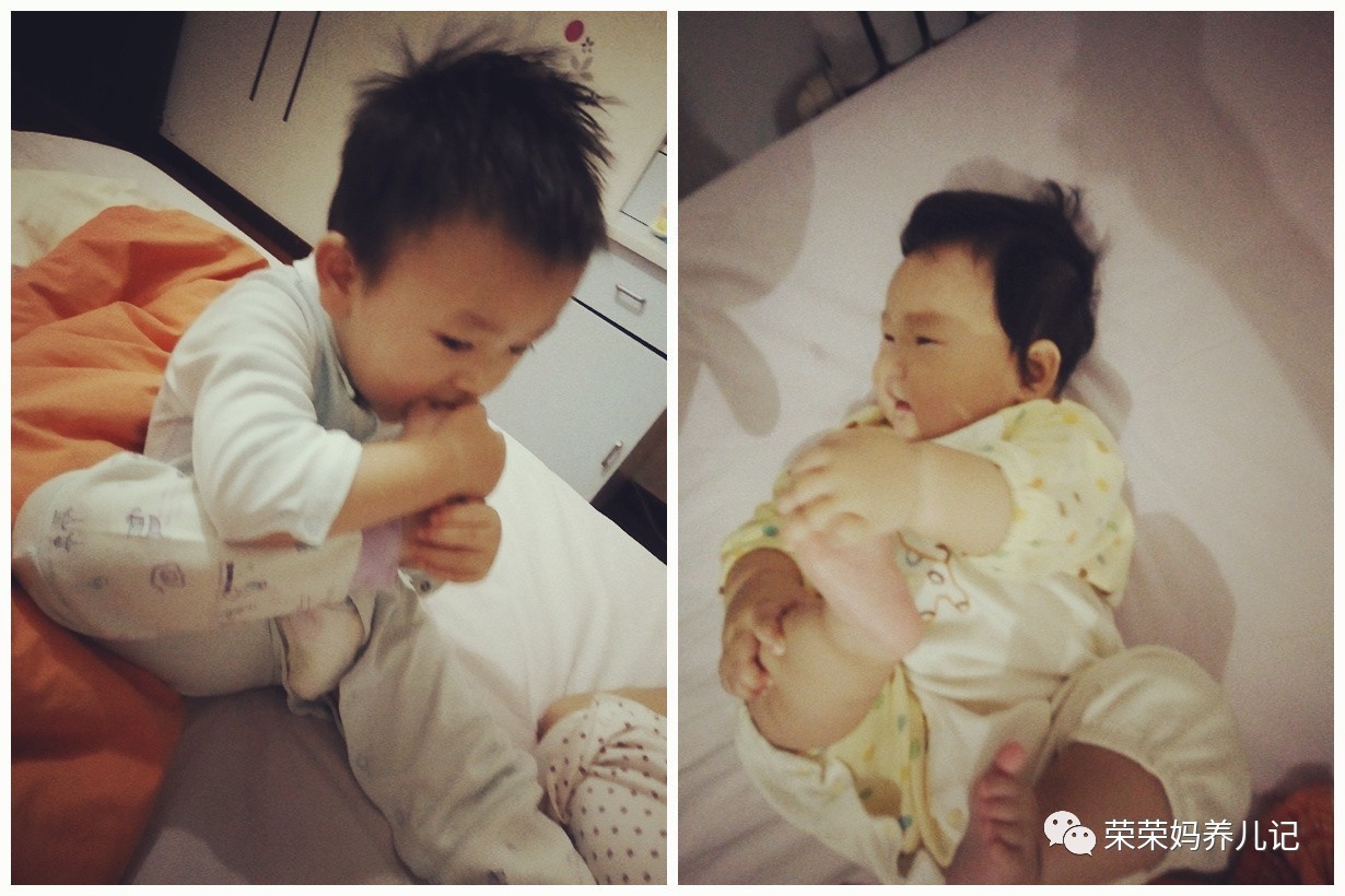 过年怎能不虐狗,逗比兄妹的年终总结