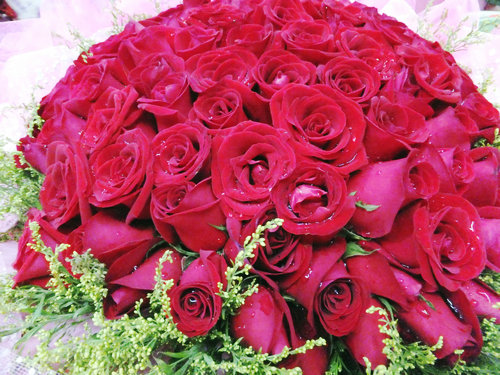 深圳最美花店,深圳年轻漂亮女孩