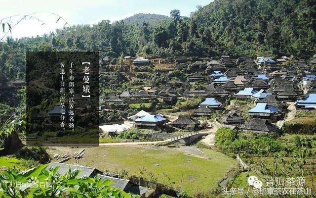 一张图看懂大卡车,一张图让你看懂小学课文