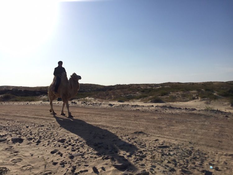 我爱远方风景,我爱远方和自由