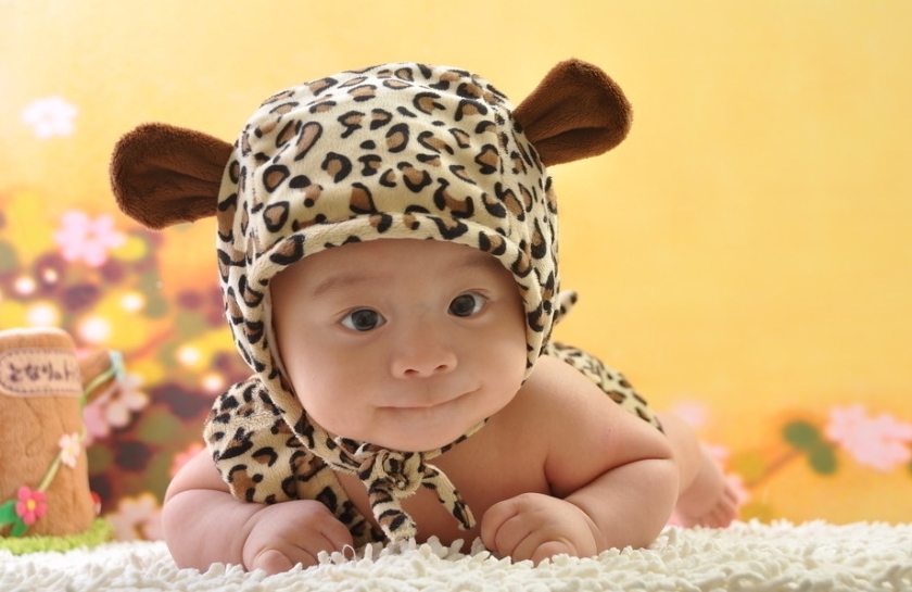 宝宝取名大全2017鸡宝宝,好听的鸡宝宝男孩名字大全集