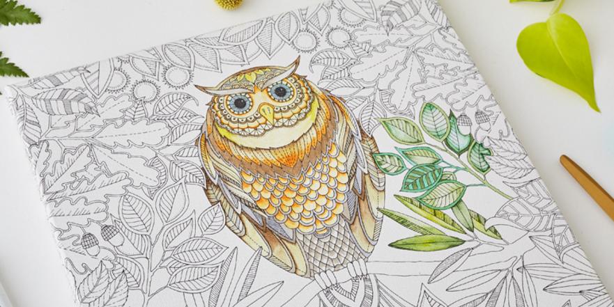 涂色的秘密花园绘本,secretgarden秘密花园