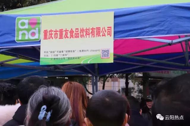 云阳公益性岗位招聘,云阳县2024年人才引进