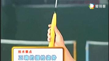 羽毛球教练新手入门教学,羽毛球教学陈教练