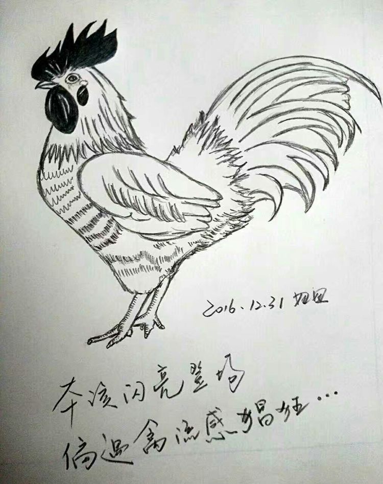 涂鸦的乐趣中班教案反思,涂鸦的乐趣完整版