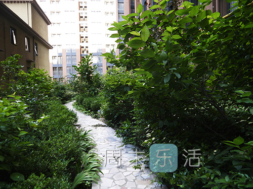 乐玩第三天攻略 (乐玩兑换积分)