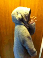 跆拳道搞笑视频恶搞版,跆拳道搞笑高清图片