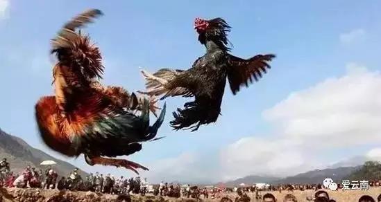 2019春运高铁云南,春节云南自驾5天最佳路线