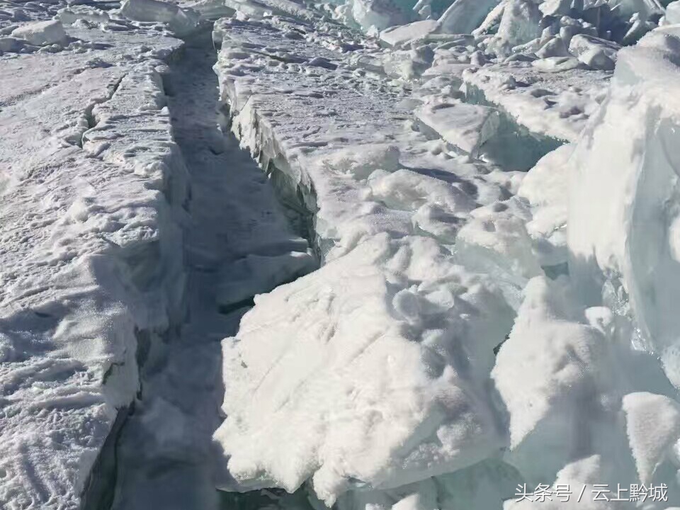 北海的冬天依然绿树成荫,冬天的北海让人忘记了寒冷