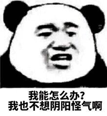 你问题好多怎么回复,你怎么这么多问题表情包