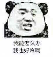 你问题好多怎么回复,你怎么这么多问题表情包