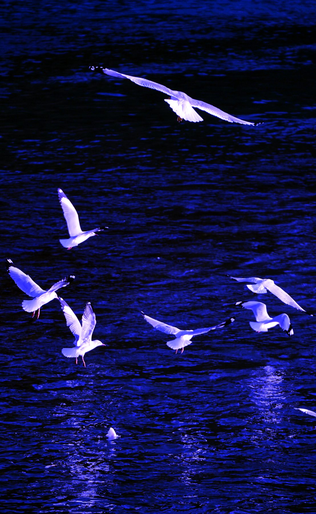 河道被挖开,被挖出来的河