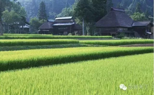 日本:一家一户的小农化也能实现机械化