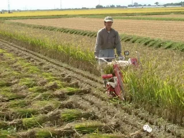 日本:一家一户的小农化也能实现机械化