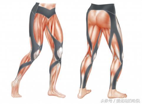 哪个牌子的运动紧身裤最好穿,运动裤小白裤