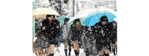 日本船袜出名吗,日本丝袜为什么很受欢迎