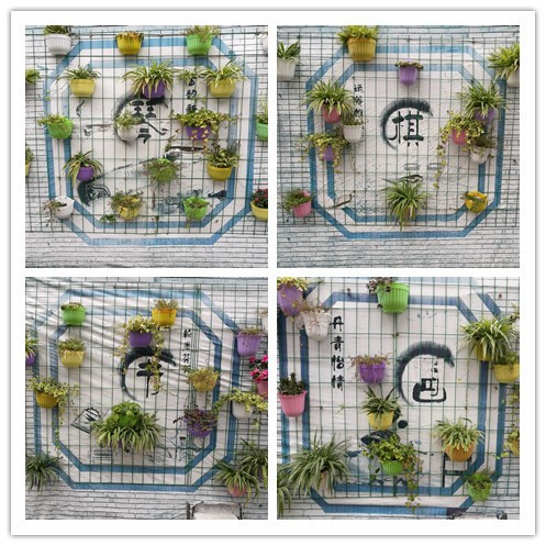 走进福州国小，倾听校长理念，遇见公立校的创新