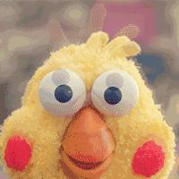 新西兰负鼠与蛇,新西兰负鼠是什么