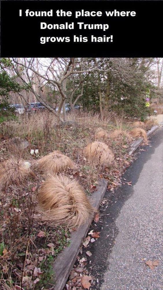 是谁把总统先生穿在脚上？