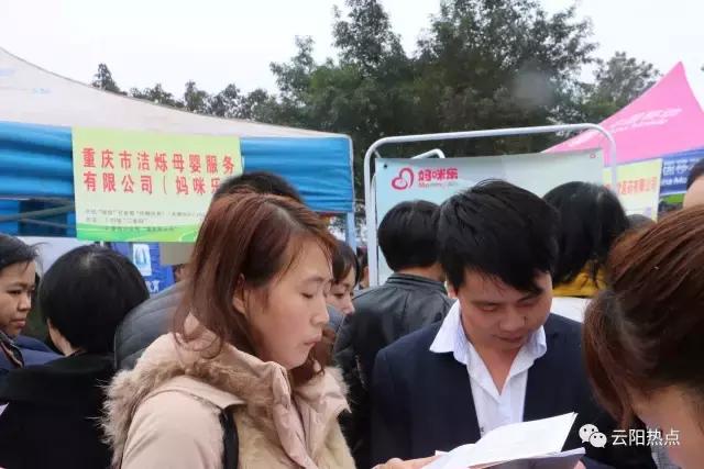 云阳公益性岗位招聘,云阳县2024年人才引进