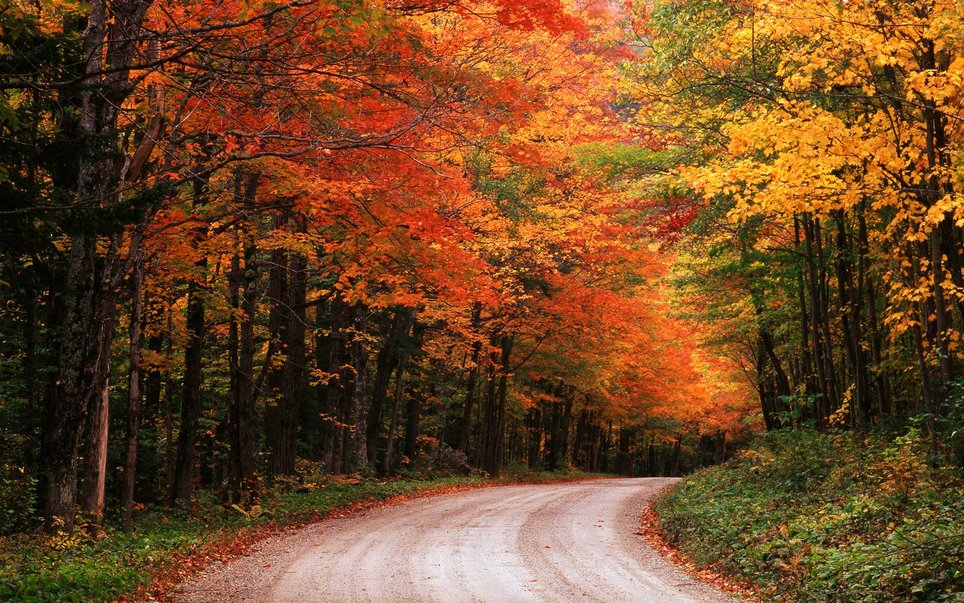 美国最漂亮的公园是哪里,大峡谷国家公园美国