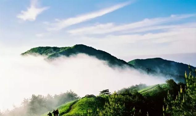 春风里，大爱罗田！