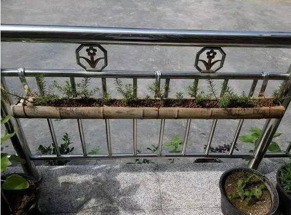 自己动手做花架一层,自己亲自动手做的花架就是好