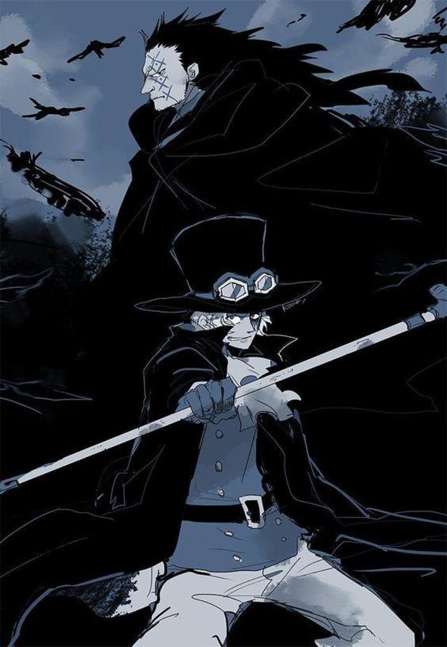 海贼王革命军实力为什么那么强,海贼王革命军成功了吗