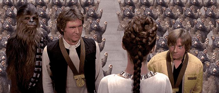 新西兰负鼠与蛇,新西兰负鼠是什么