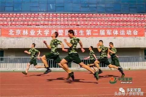 多彩军营,部队基层体育竞赛编排方法