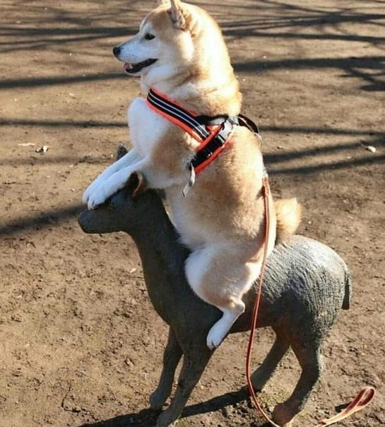 为什么不能轻易拉黑一个人,动不动就拉黑一个人意味着什么