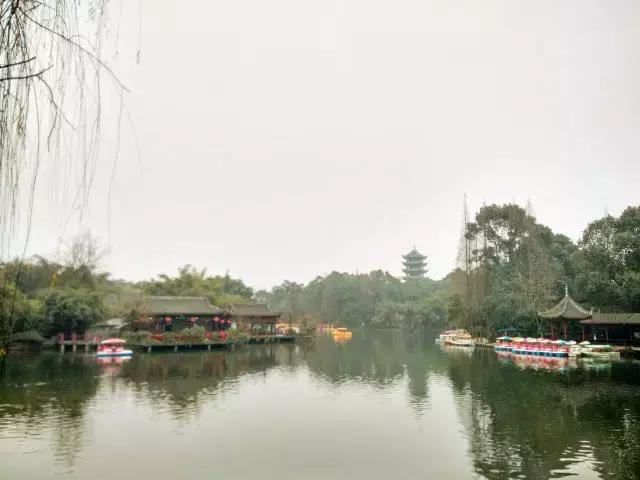 鑺辨捣閲嶇鏉ヨ,鑺辨捣鏉ヨ