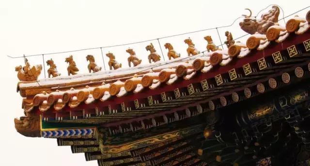 林心如舒淇董卿章子怡姚晨,林心如李小冉舒淇章子怡