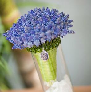 现在种风信子来得及吗,现在种风信子还行吗