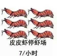 皮皮虾最近很火的是什么梗,关于皮皮虾是什么梗的信息