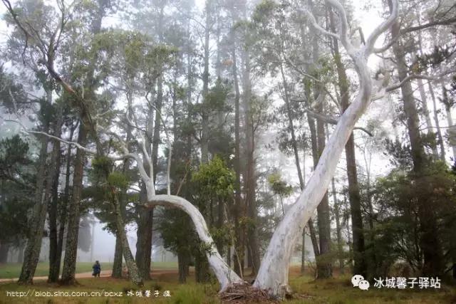 澳大利亚小镇都叫什么名字,澳大利亚蓝山为什么叫蓝山