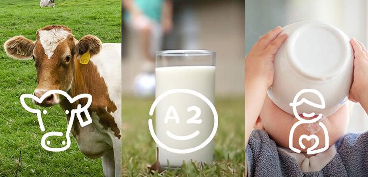 为什么澳洲奶粉配方简单,俄罗斯奶粉好还是澳洲奶粉好