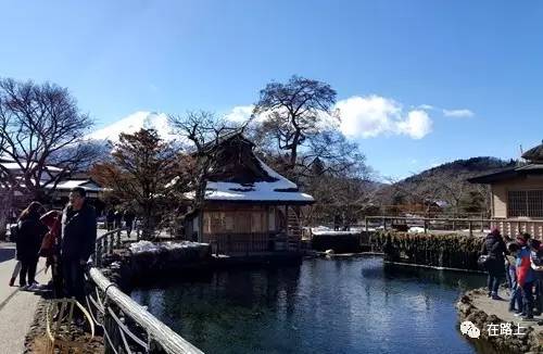 东京盛开的花,东京行走的画卷