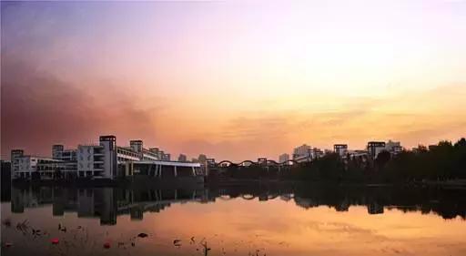 120岁生日倒计百天！爱浙大有120个理由，也许1个已足够！