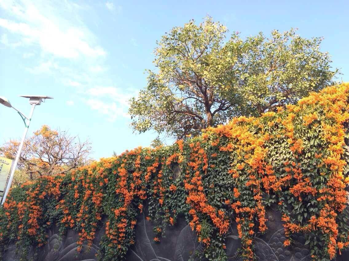 厦门慢生活惬意悠哉,厦门悠闲一日游