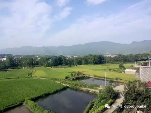 雪地里妈妈种的漂亮多肉,女儿种的多肉